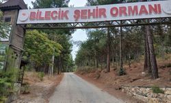 Bilecik Şehir Ormanı'nın yolları köstebek yuvasına döndü