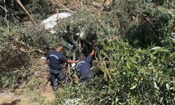 Bilecik'te kontrolden çıkan otomobil şarampole uçtu