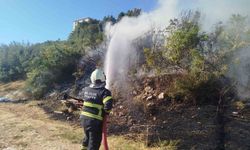 Bilecik'te makilik alanda çıkan yangın anında söndürüldü