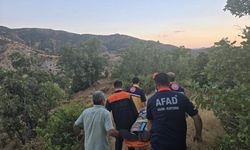 Bingöl'de kaybolan şahıs ormanlık alanda bulundu