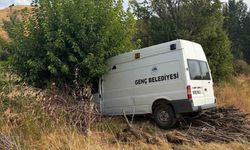 Bingöl'de minibüs ağaca çarptı: 3 yaralı