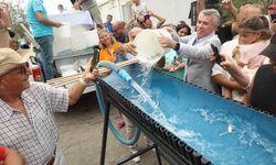 Bodrum'da balık festivali için geri sayım başladı