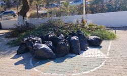 Bodrum'da ot temizliği çalışmaları sürüyor