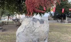 Bodrum'dan Polonya'ya uzanan Türk gururu: Türk Bayrağı Şatoda ömür boyu dalgalanacak