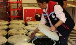 Bolu'da 650 kilo kaçak midye ele geçirildi