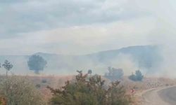 Bolu'da arazi yangını ormanlık alana ulaşmadan söndürüldü