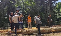 Bolu'da ormancılık faaliyetlerine saha denetimi