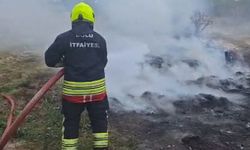 Bolu'da ot yangını paniğe neden oldu