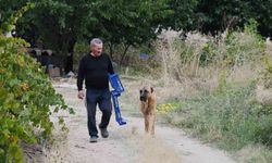 Bozkırın ortasında 15 yıllık emek: Emekli öğretmen yeşil vaha oluşturdu