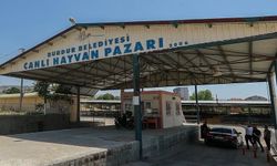 Burdur'da hayvan pazarı şap hastalığı nedeniyle geçici olarak kapatıldı