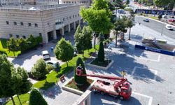 Büyükşehirden kent estetiğine titiz dokunuş: Süs bitkilerine form budaması