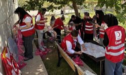 Cizreli öğrencilerden Gazze'deki çocuklara uçurtmalı destek