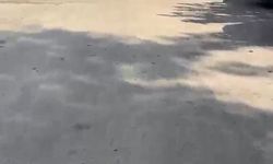 Çocukların limonatalarını Bursa Büyükşehir ekipleri satın aldı