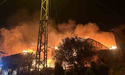 Çorum'da 2 ev ve 1 ahır alevlere teslim oldu: Ekiplerin müdahalesi sürüyor