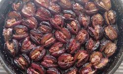 Dalında 4 liraya düşen ton eriği kışlık tatlıya dönüşüyor