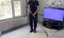 Defne'de eve giren yılanı itfaiye yakaladı
