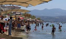 Deniz sezonunun bitmesine yakın Bursa'nın sahillerinden sevindiren haber