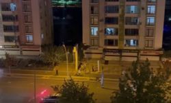 Diyarbakır'da havai fişek dehşeti: Hedef alarak attı, 2 kardeş yaralandı