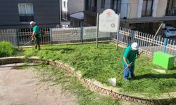 Efeler Belediyesi parklarda bakım çalışmalarını sürdürüyor