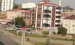 El freni çekilmeden bırakılan otomobil cadde boyu ilerleyip tarlaya uçtu