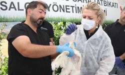 Elazığ'da kuş gribi eğitimi
