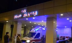 Erciş'te takla atan otomobilin sürücüsü ağır yaralandı