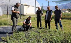 Erzincan Fidanlık Şefliğinde 2026 yılı üretim çalışmaları incelendi