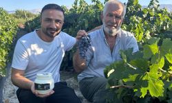 Erzincan'da 200 yıllık bağlarda Cimin Üzümü hasadı başladı
