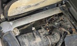 Erzincan'da araç motorunda mahsur kalan yavru kedi kurtarıldı
