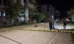 Erzincan'da bir eve silahla ateş edildi