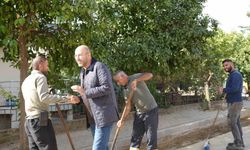 Germencik'te festival bitti, çalışmalar devam ediyor