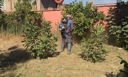 Germencik'te okullar yeni eğitim yılına hazırlanıyor