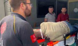 Gürcistan'dan kalkan uçak Rize'nin Pazar ilçesi açıklarında denize acil iniş yaptı