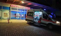 Hafif ticari araç yayaya çarptı: 1 ağır yaralı