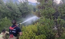 Hatay'da orman yangını çıktı