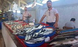 Hisarcık'ta vatandaşların en çok tercih ettiği balık türü palamut oldu