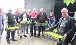 İnebolu'da 65 çiftçiye 88 bin 400 adet sebze fidesi dağıtıldı