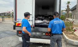 İzmir'de kaçak avlanan 3 ton mavi yüzgeçli orkinos ele geçirildi