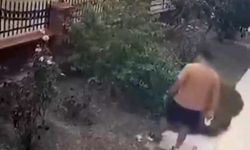 İzmir'de yavrulu kediye tekme atan saldırgan yakalandı