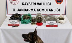 Jandarma operasyonunda bin 200 gram uyuşturucu ele geçirildi