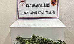 Karaman'da jandarmanın yakaladığı 31 şahıstan 11'i tutuklandı