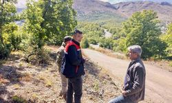 Kaybolan 9 büyükbaş hayvan dron ile bulundu