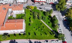 Kayseri'de çim biçme ve çevre düzenleme seferberliği