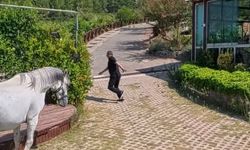 Klip çekiminde atın altında kalmaktan son anda kurtuldu