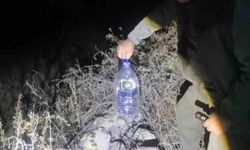 Koruma altındaki yaban hayvanlarını avlayan kişiye idari işlem