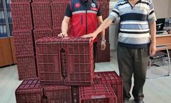 Köşk'te incir üreticilerine hibeli kasa desteği