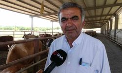 Malatya'dan Türkiye'ye damızlık düve desteği