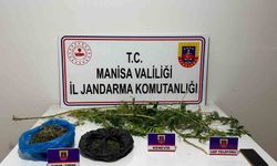 Manisa'da uyuşturucu operasyonu: 1 kişi tutuklandı