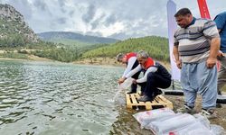 Mersin'de 17 göl ve gölete 347 bin yavru sazan bırakıldı