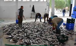 Muğla, Ege Bölgesinin ihracat artış lideri